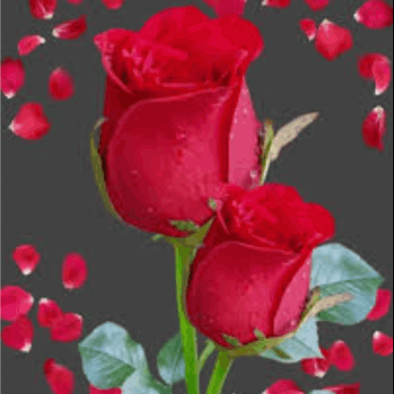 Obituaries La Qua Brothers Funeral Home